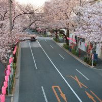 東京都中野区ってどんな街?家賃相場はいくらぐらい?